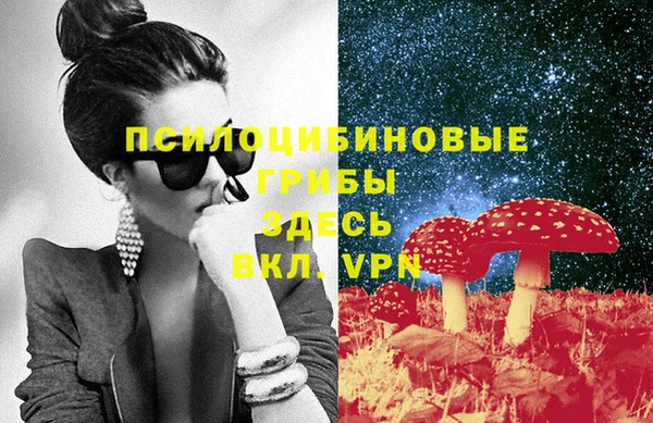 mix Алексин