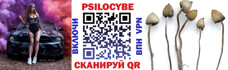 где можно купить наркотик  гидра зеркало  Псилоцибиновые грибы Psilocybine cubensis  Юрьевец 